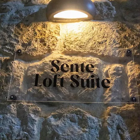 Sente Loft דירה *